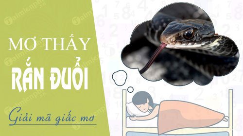 Giải mã giấc mơ thấy rắn đuổi đánh con gì, điềm báo chiêm bao rắn