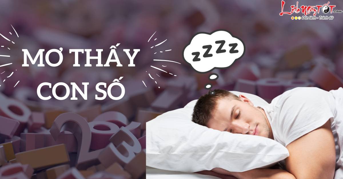 Giải mã giấc mơ thấy số, điềm báo từ những con số trong chiêm bao