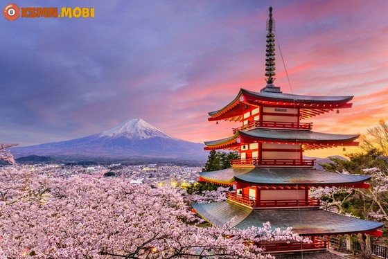 Giải mã giấc mơ thấy thầy chùa