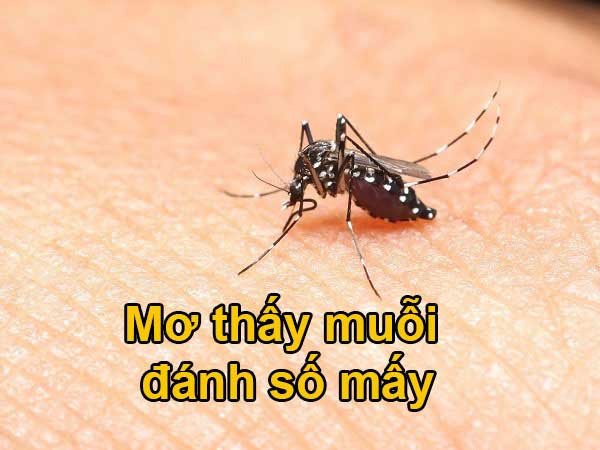 Giải mã giấc mơ về côn trùng gây hại và điềm báo