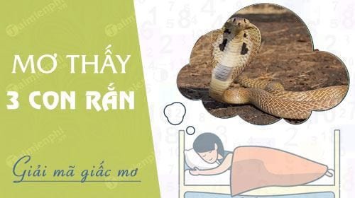 Giải mã mơ thấy 3 con rắn đánh số mấy
