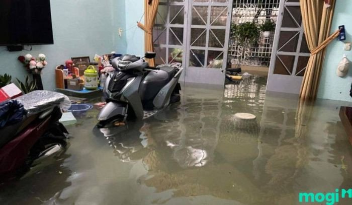 giải mã mơ thấy người chết đuối vì nhà ngập