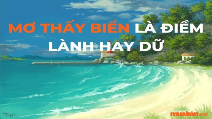 Giải mã nằm mơ thấy biển lớn mang ý nghĩa gì