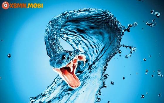 Giải mã ý nghĩa các giấc mơ bị từng loài rắn cắn