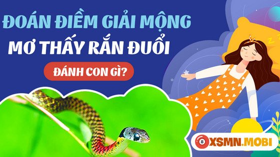 Gợi ý con số may mắn khi nằm mơ thấy rắn rượt đánh số gì chuẩn xác nhất