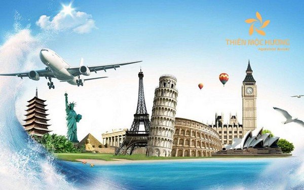 Hành trình thăng tiến sự nghiệp khi mơ thấy đi công tác nước ngoài
