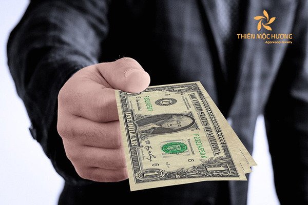 Hình ảnh bố đã mất cho tiền đô la, tượng trưng cho may mắn bất ngờ