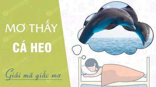 Hình ảnh cá heo bơi tự do trên biển, biểu tượng cho niềm vui và trí tuệ trong giấc mơ