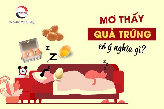 Hình ảnh chung về các loại trứng trong giấc mơ, liên quan đến nằm mơ thấy trứng đánh con gì