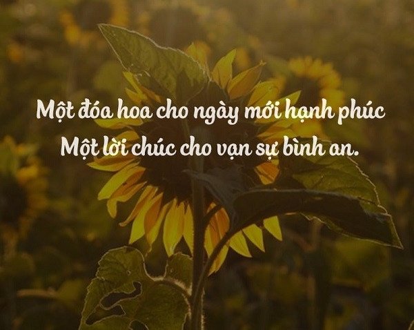 Hình ảnh cực chất, cực đẹp tiếp thêm năng lượng mỗi ngày