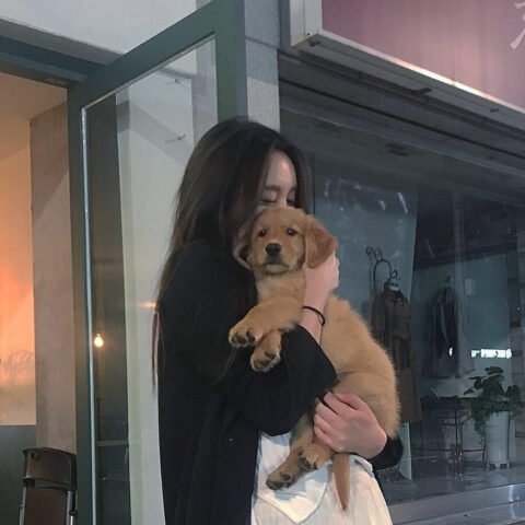 Hình ảnh em bé và chú chó Golden đang lớn lên cùng nhau, biểu tượng cho mối liên kết sâu sắc và nỗi nhớ khi chiêm bao thấy thú cưng đã qua đời.