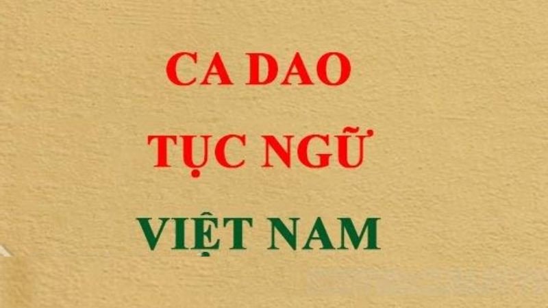 Hình ảnh minh họa sách và bút, đại diện cho kho tàng câu tục ngữ về học tập của Việt Nam
