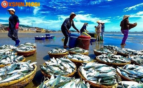 Hình ảnh minh họa ý nghĩa giấc mơ thấy mình bắt cá đánh con gì