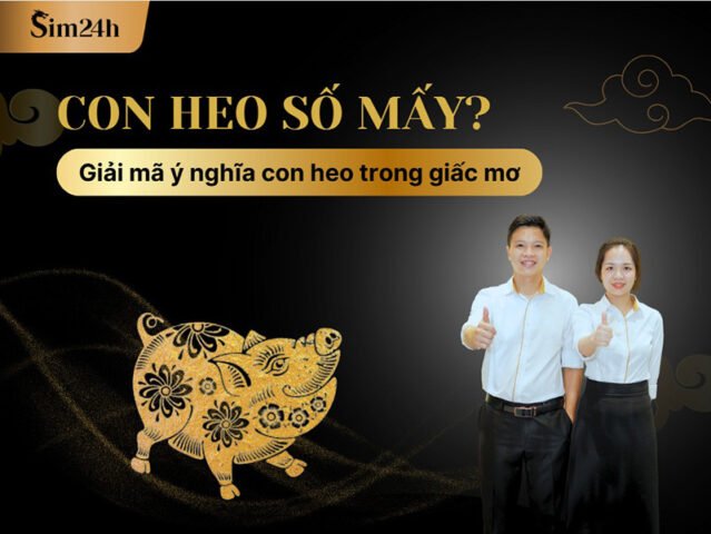 Hình ảnh một con heo đáng yêu, biểu tượng cho sự may mắn và tài lộc trong giấc mơ