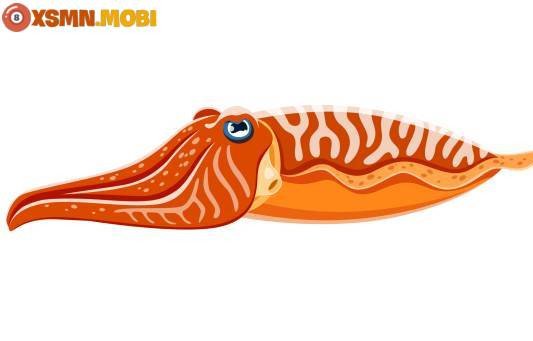 Hình ảnh mực biển sống động, biểu tượng của giấc mơ mua mực mang điềm báo