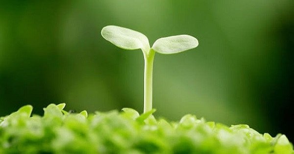 Hình ảnh người đang vượt chướng ngại vật, biểu tượng của hình ảnh tạo động lực học tập vượt khó