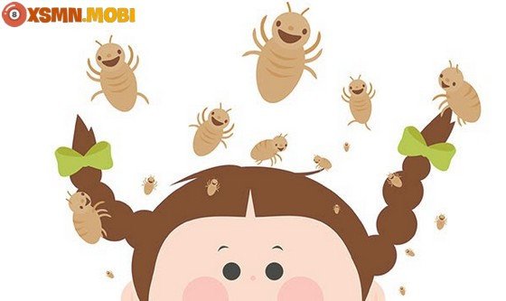 Hình ảnh phóng to của con chấy rận trên tóc, tượng trưng cho những vấn đề nhỏ nhặt cần được giải quyết khi bạn mơ thấy bắt chấy đánh con gì.
