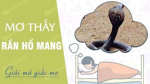 Hình ảnh rắn hổ mang chúa phô diễn sự uy dũng, đại diện cho điềm báo trong giấc mơ