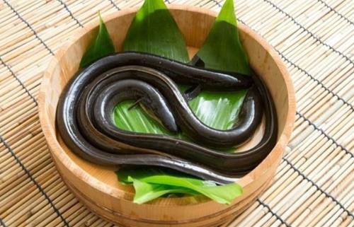 Hình ảnh tượng trưng cho sự biến đổi trong giấc mơ về lươn, ám chỉ điềm lành hoặc cảnh báo.