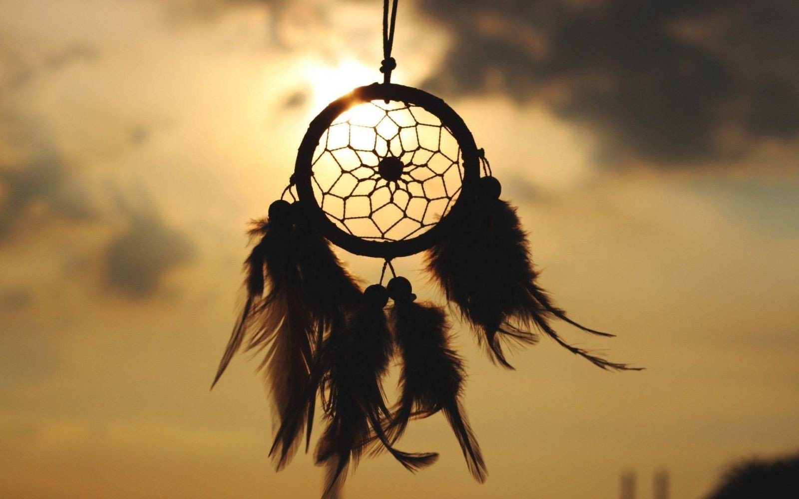 Hình nền đt học tập Dreamcatcher