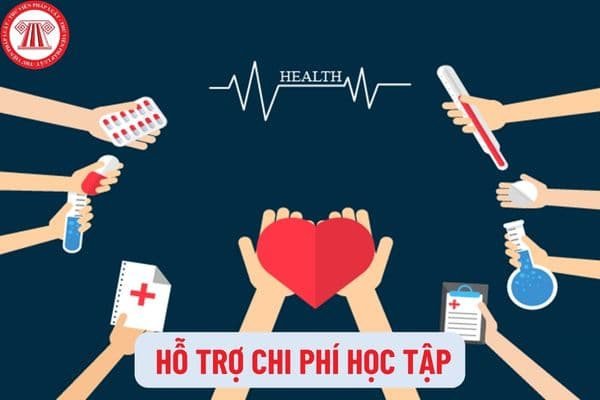Hỗ trợ chi phí học tập cho sinh viên qua chính sách của nhà nước