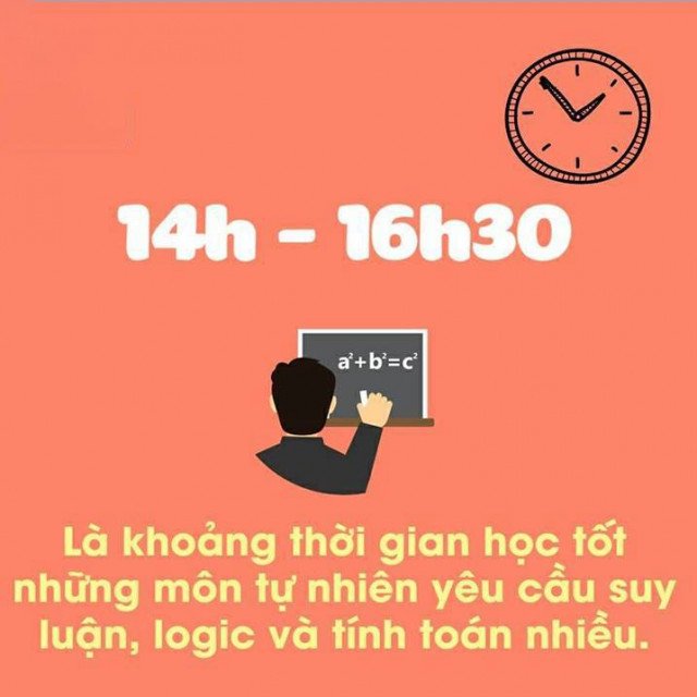 Học sinh giải bài tập môn tự nhiên, áp dụng tư duy logic vào thời gian học tập hiệu quả