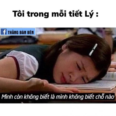 Học sinh vui vẻ ôn thi với ảnh meme học tập hài hước
