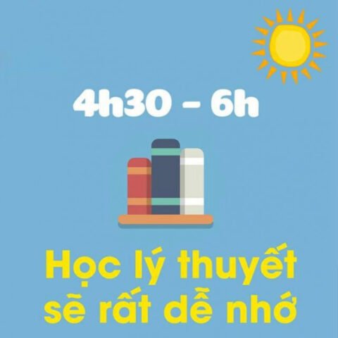 Học viên nghiên cứu lý thuyết vào buổi sáng sớm, tối ưu hóa thời gian học tập
