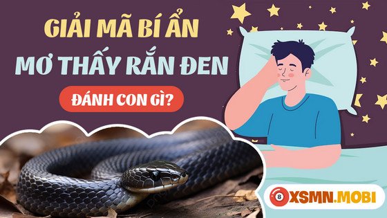 Hướng dẫn chọn số may mắn khi mơ thấy rắn hổ mang chúa màu đen