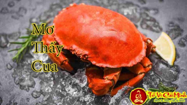 Mơ Thấy Nhiều Cua: Giải Mã Những Điềm Báo Sâu Sắc Từ Thế Giới Giấc Mơ