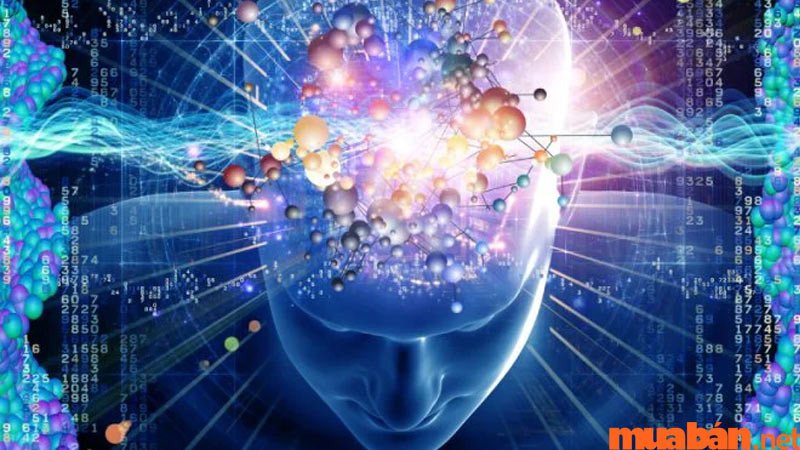 Lý giải giấc mơ theo phong thủy