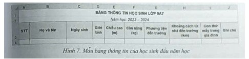 Mẫu bảng thống kê thông tin học sinh đầu năm học, một chủ đề thực hành tin học 9 cánh diều