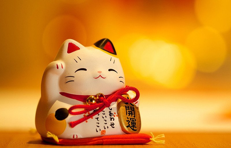 Mèo Maneki Neko vẫy tay, biểu tượng mang lại may mắn học tập và thịnh vượng