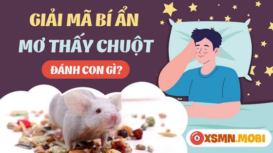 Minh họa các con số may mắn liên quan đến giấc nằm mơ thấy nhiều chuột đánh số may cho người đọc.