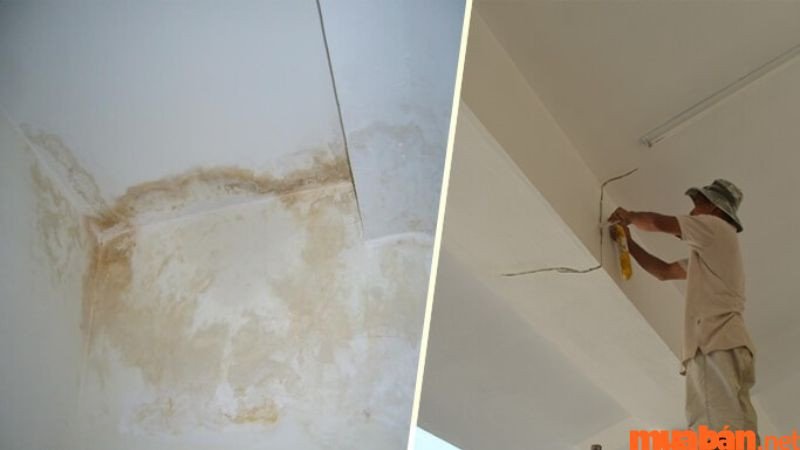 Mơ nhà dột do mưa lớn