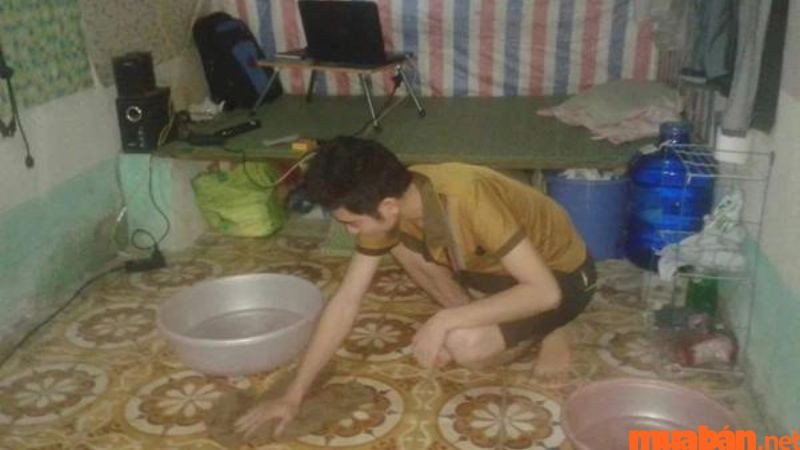 Mơ nhà dột nhưng bạn không bị ướt