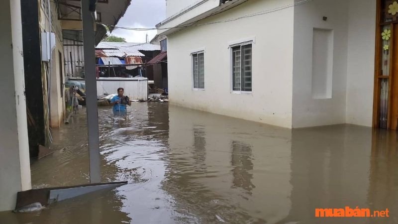 Mơ nước chảy trong nhà làm bạn bị trượt chân ngã