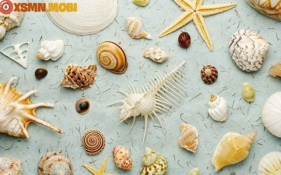 Mơ thấy bắt ốc dưới ao là điềm báo may hay xui?