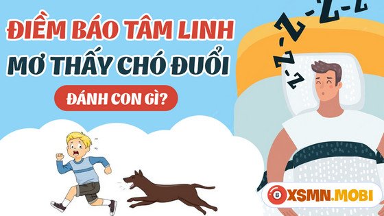 Mơ thấy bị chó đuổi đánh con gì may mắn nhất