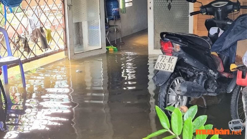 Mơ thấy có nước mưa chảy vào nhà nhưng bạn vẫn nằm ngủ