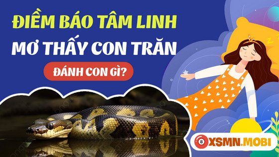 Mơ thấy con trăn đánh số mấy may mắn