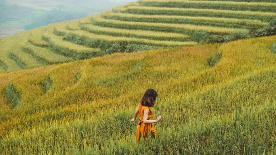Mơ thấy đi du lịch một mình, tự do khám phá thế giới