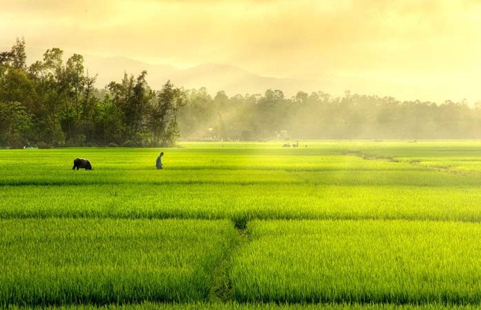 Mơ thấy hầu đồng: Giải mã ý nghĩa và con số may mắn