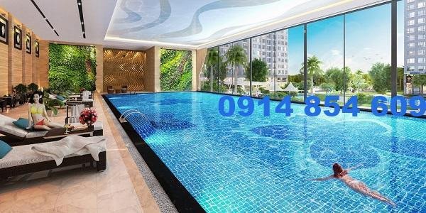 Mơ thấy hồ bơi nước bẩn