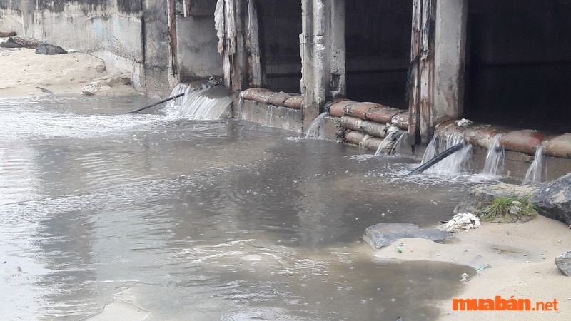 Mơ thấy lội vào nước mưa chảy vào nhà
