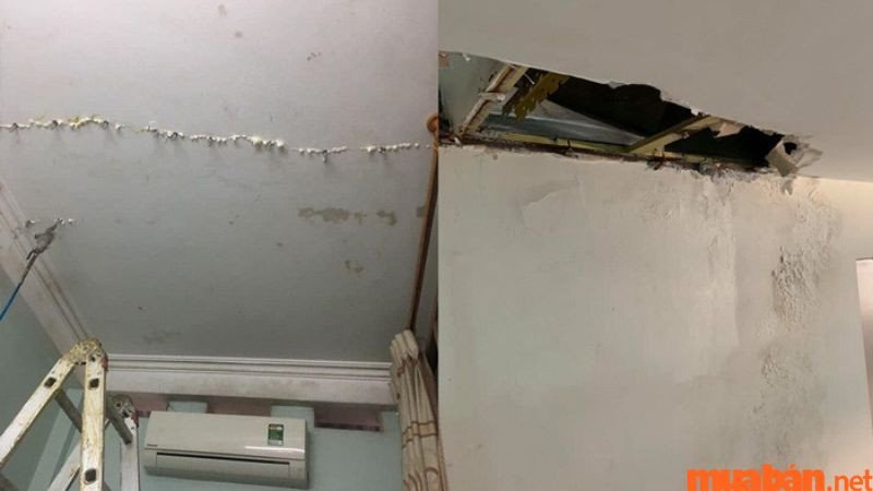 Mơ thấy mái nhà mình bị dột
