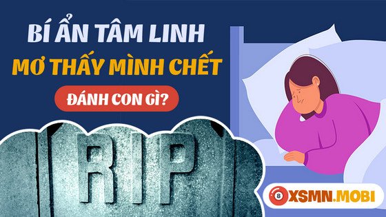 Mơ thấy mình bị chết đánh con gì? Các con số may mắn liên quan