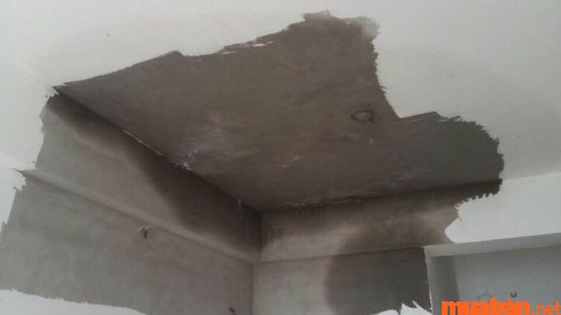 Mơ thấy nóc nhà bị dột