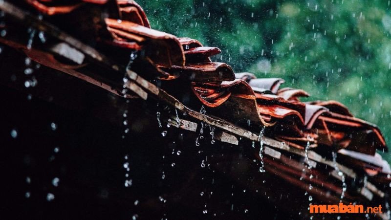 Mơ thấy nước mưa chảy vào nhà