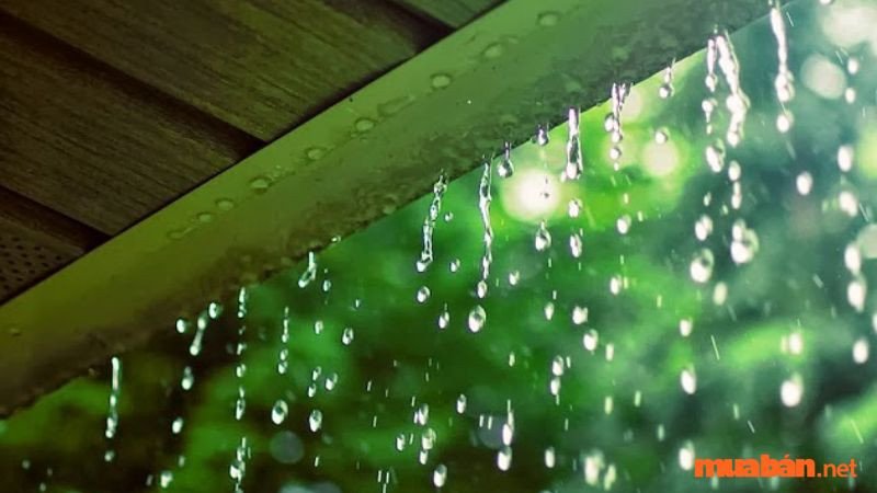 Mơ thấy nước mưa rất đục chảy vào trong nhà
